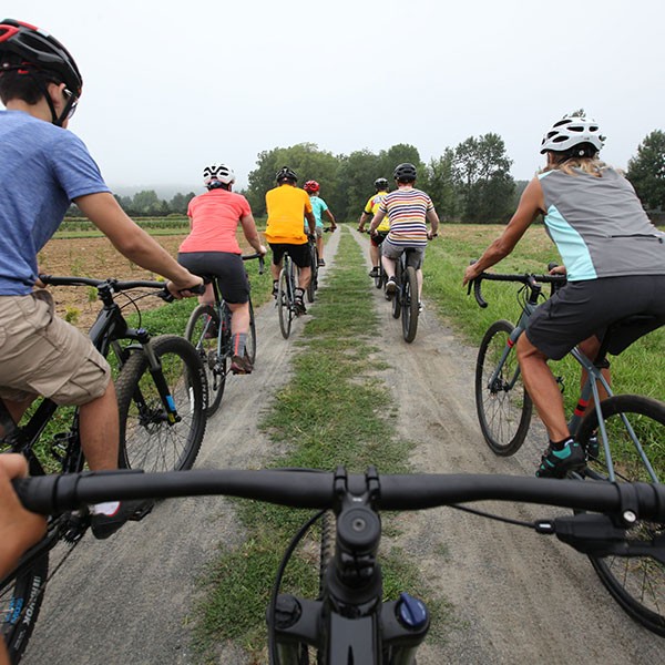 Group of bikers riding down a trail